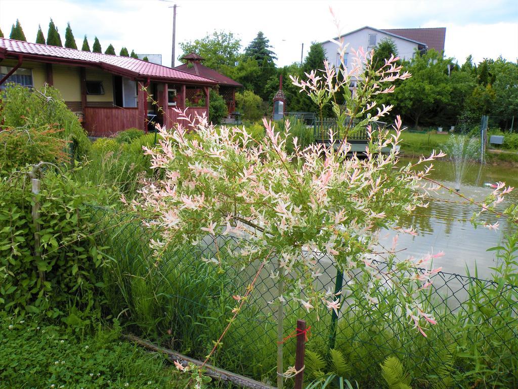 Pokoje Zabi Staw Mikołajki Екстериор снимка